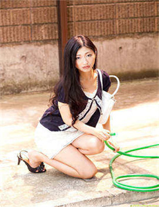 黑狐之风影