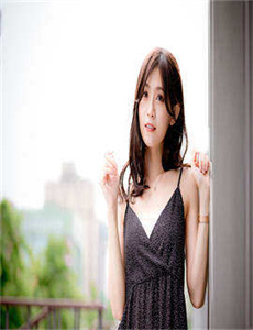 施公奇案2