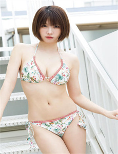 大闹天宫甄子丹