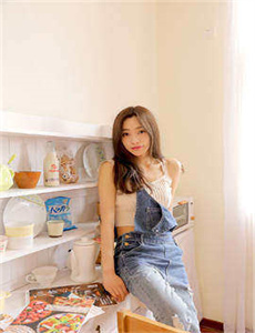 美国派6